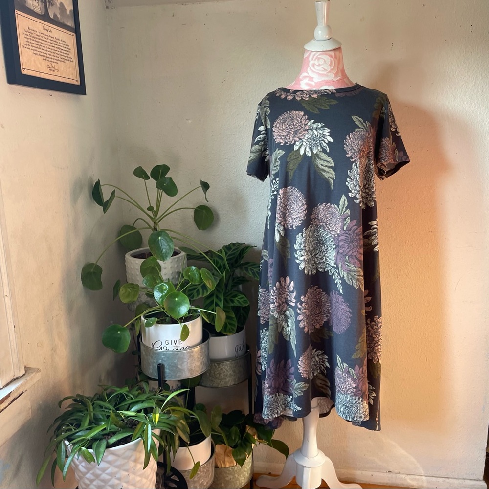 LulaRoe Hi/Low Shirt Dress
